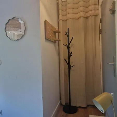 T1bis Meuble Cozy Avec Jardin Et Parking Prive * Toulouse