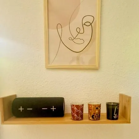 T1bis Meuble Cozy Avec Jardin Et Parking Prive