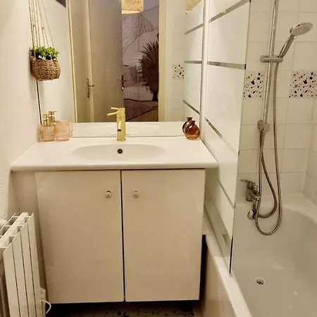 Daire T1bis Meuble Cozy Avec Jardin Et Parking Prive Toulouse
