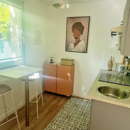 Daire T1bis Meuble Cozy Avec Jardin Et Parking Prive Toulouse