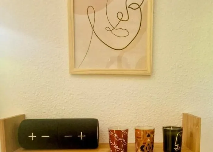 T1bis Meuble Cozy Avec Jardin Et Parking Prive