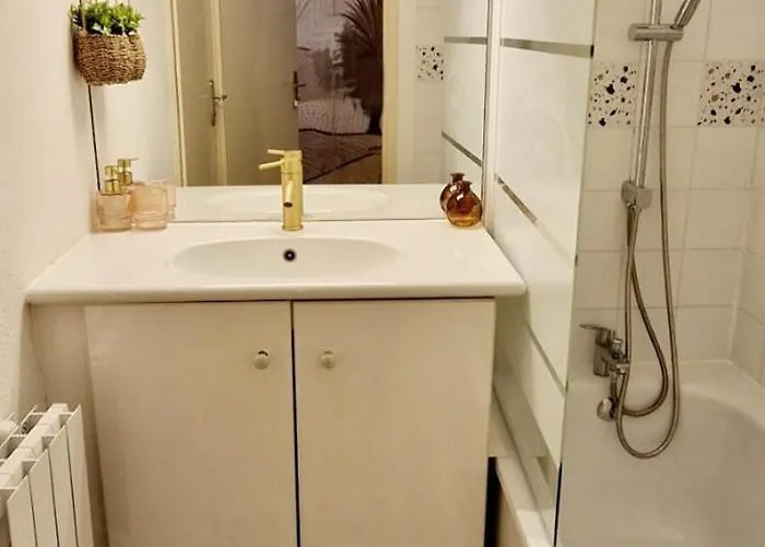 Appartement T1bis Meuble Cozy Avec Jardin Et Parking Prive Toulouse