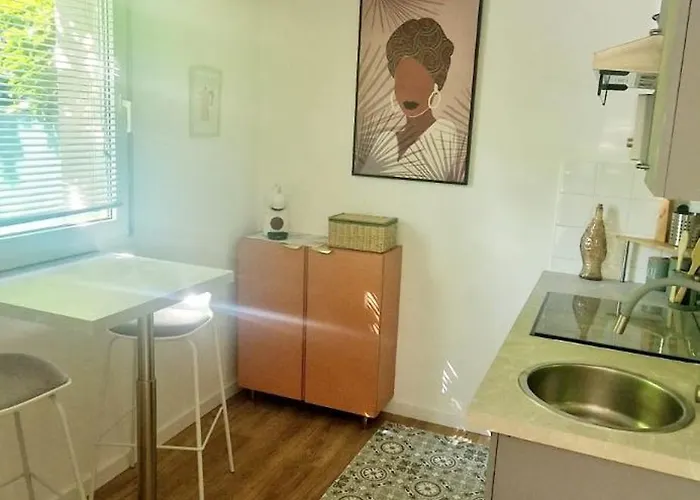 Appartement T1bis Meuble Cozy Avec Jardin Et Parking Prive Toulouse